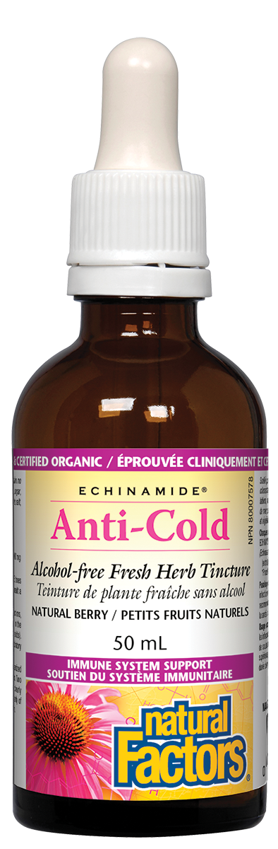 Natural Factors Echinamide Anti-Cold - Natural Berry (50 mL)