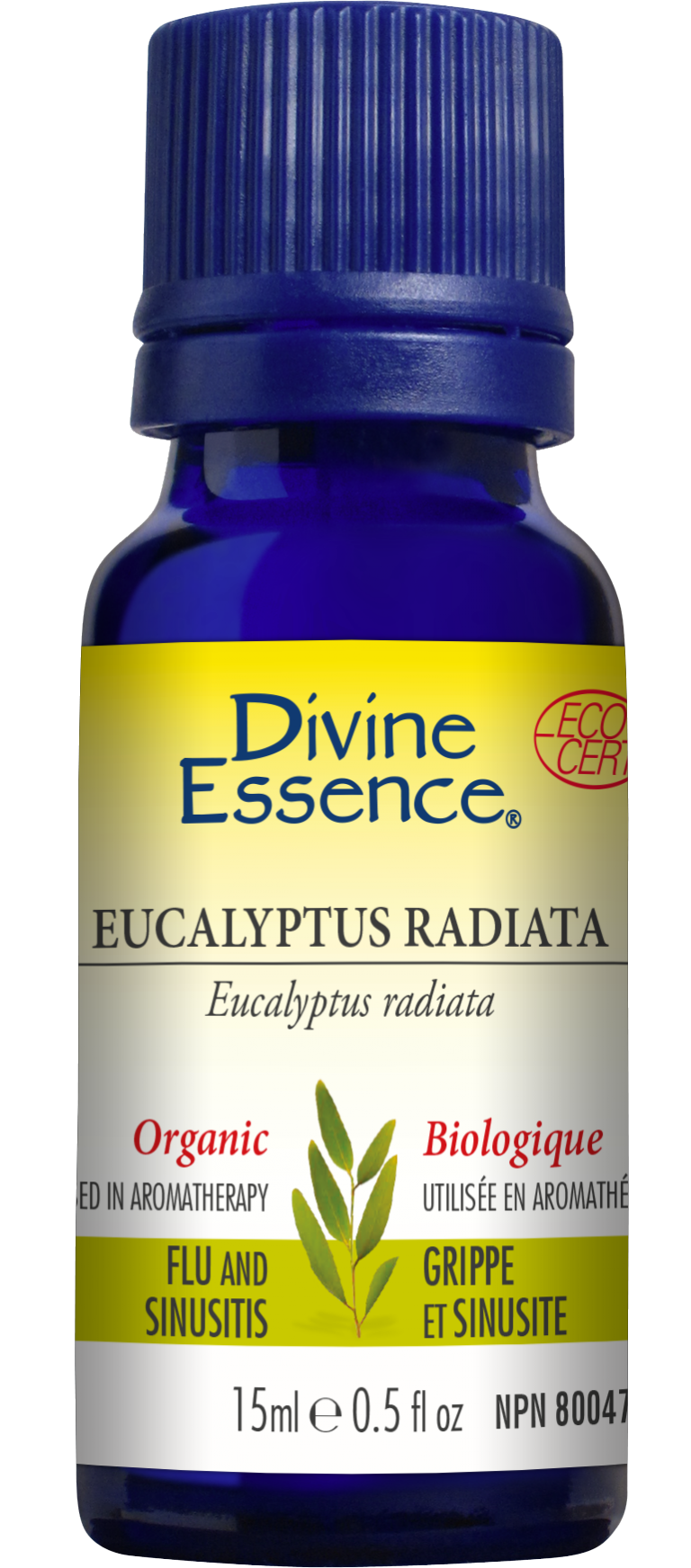 Divine Essence Rosemary Cineole Type (15 mL)